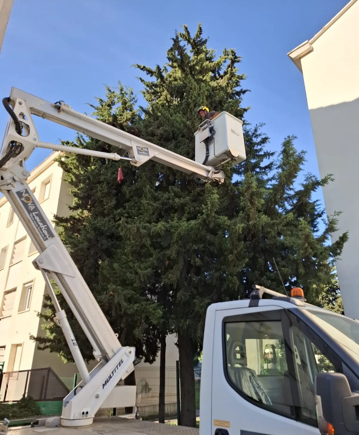 Elagage à Montpellier avec élagueur en nacelle pour accès en hauteur - Cime et Racines